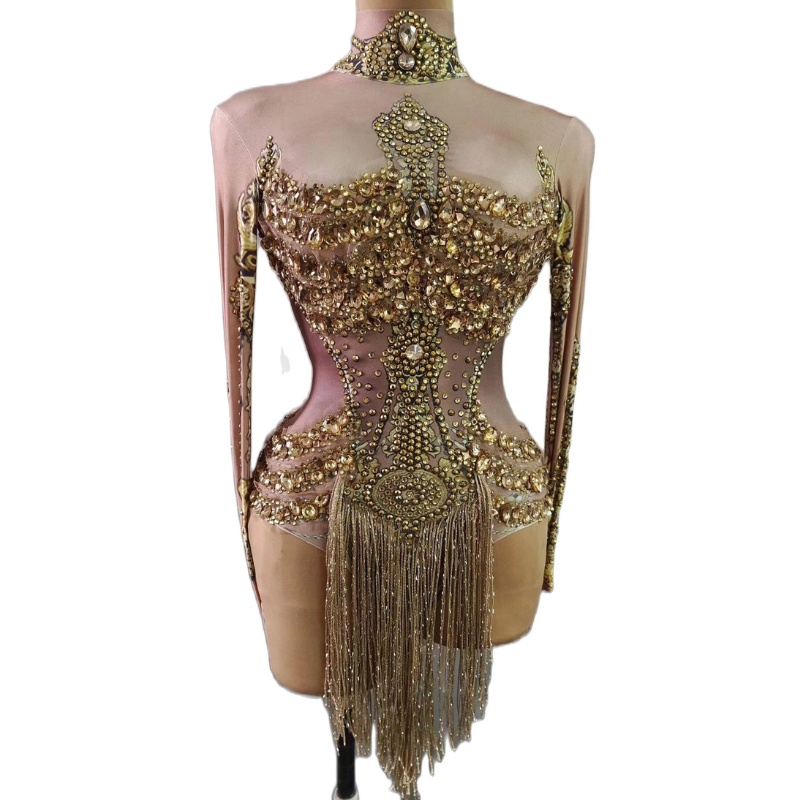 Gold Fringe Tina Turner Costume