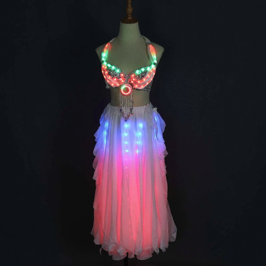 Led Light Belly Dancer Costume