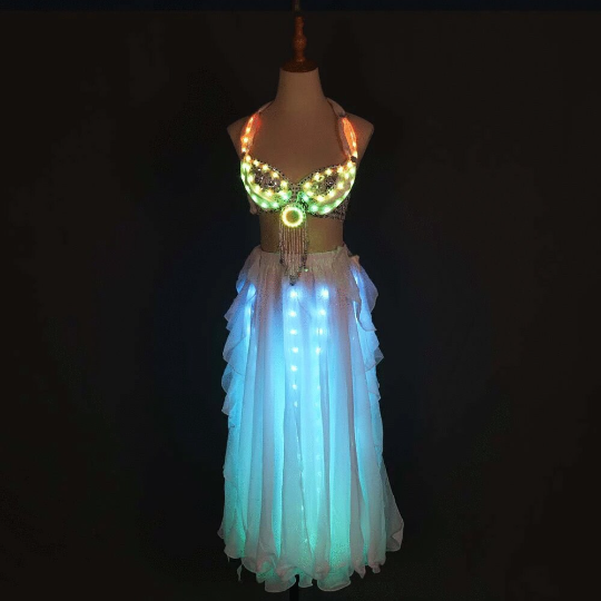 Led Light Belly Dancer Costume