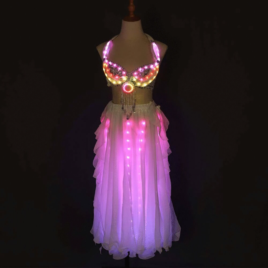 Led Light Belly Dancer Costume