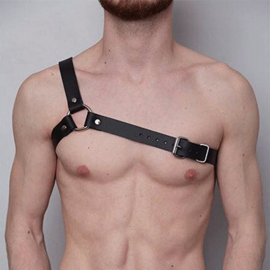 Shoulder Harness Strap