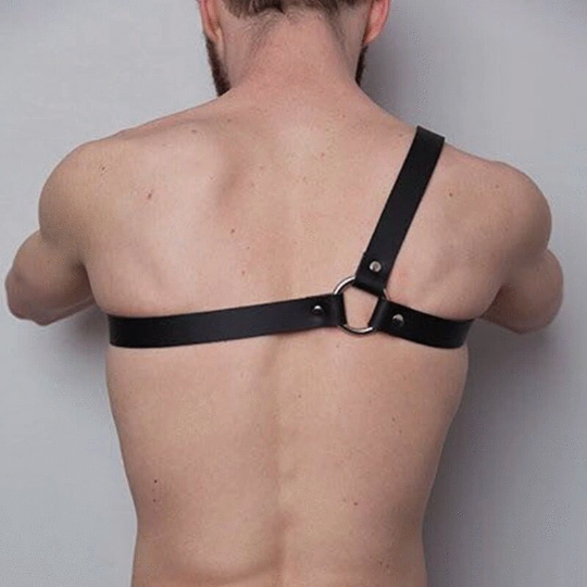 Shoulder Harness Strap