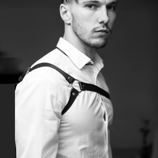 Shoulder Harness Strap