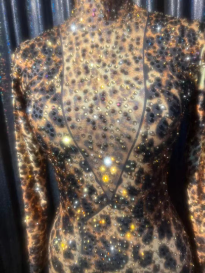 Leopard  Rhinestone Bodysuit