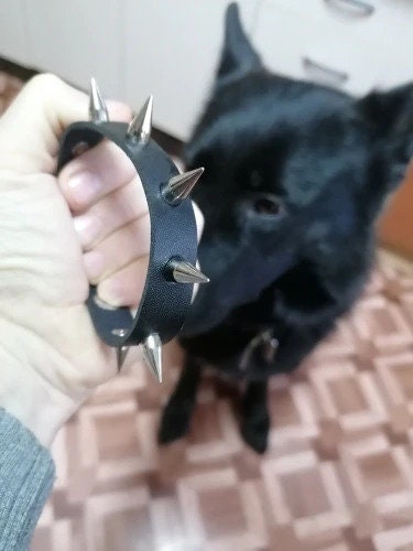 Spiked Bracelet