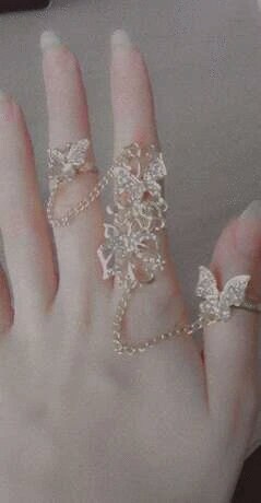 Butterfly Chain Rings