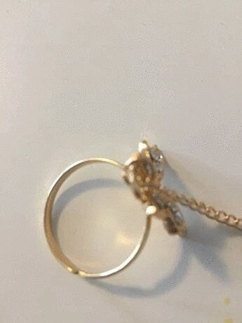 Butterfly Chain Rings