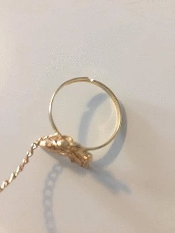 Butterfly Chain Rings