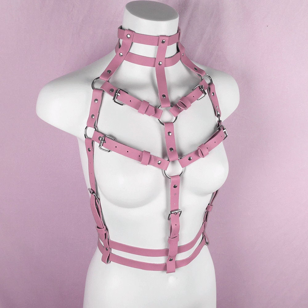 Pink Waist Harness Belt