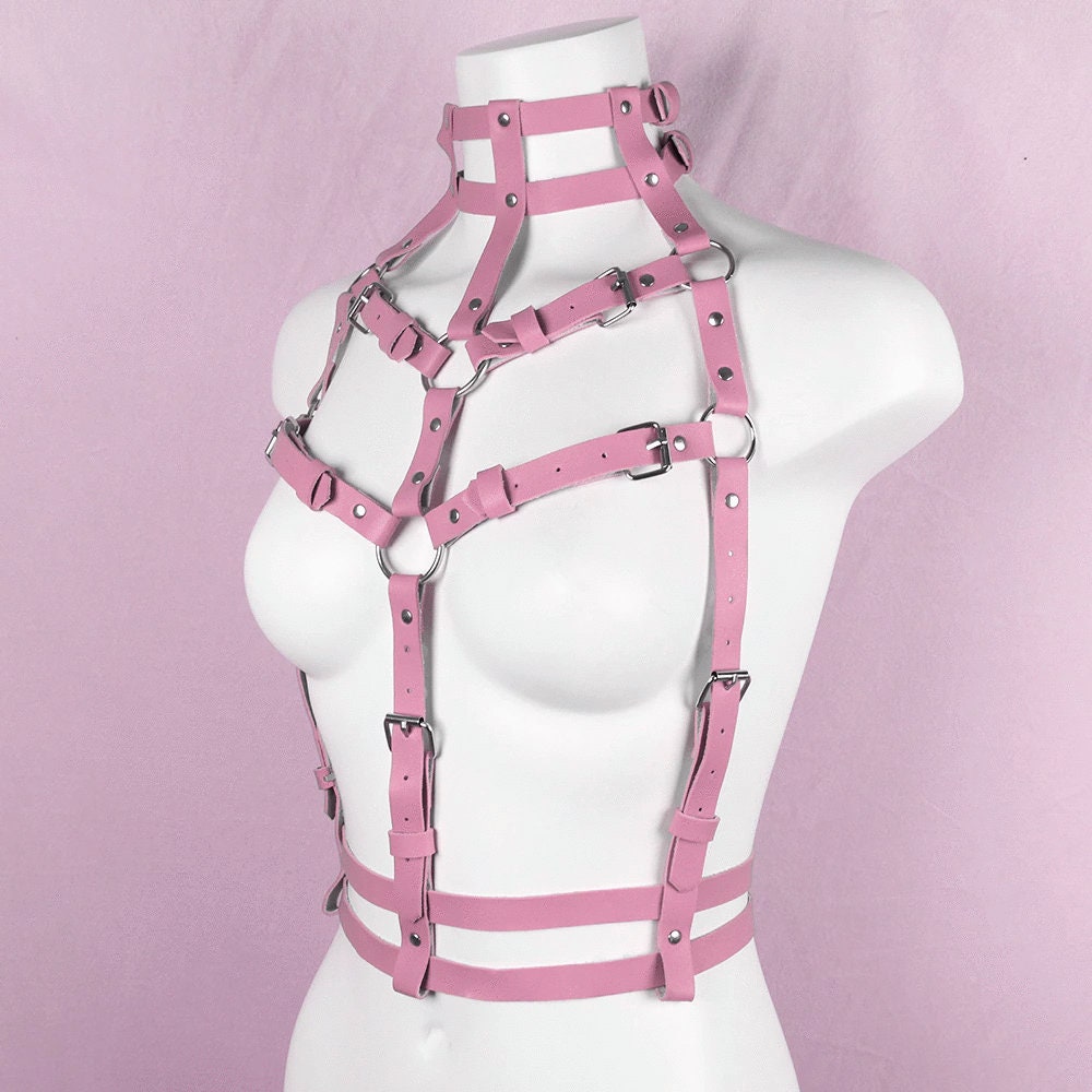 Pink Waist Harness Belt