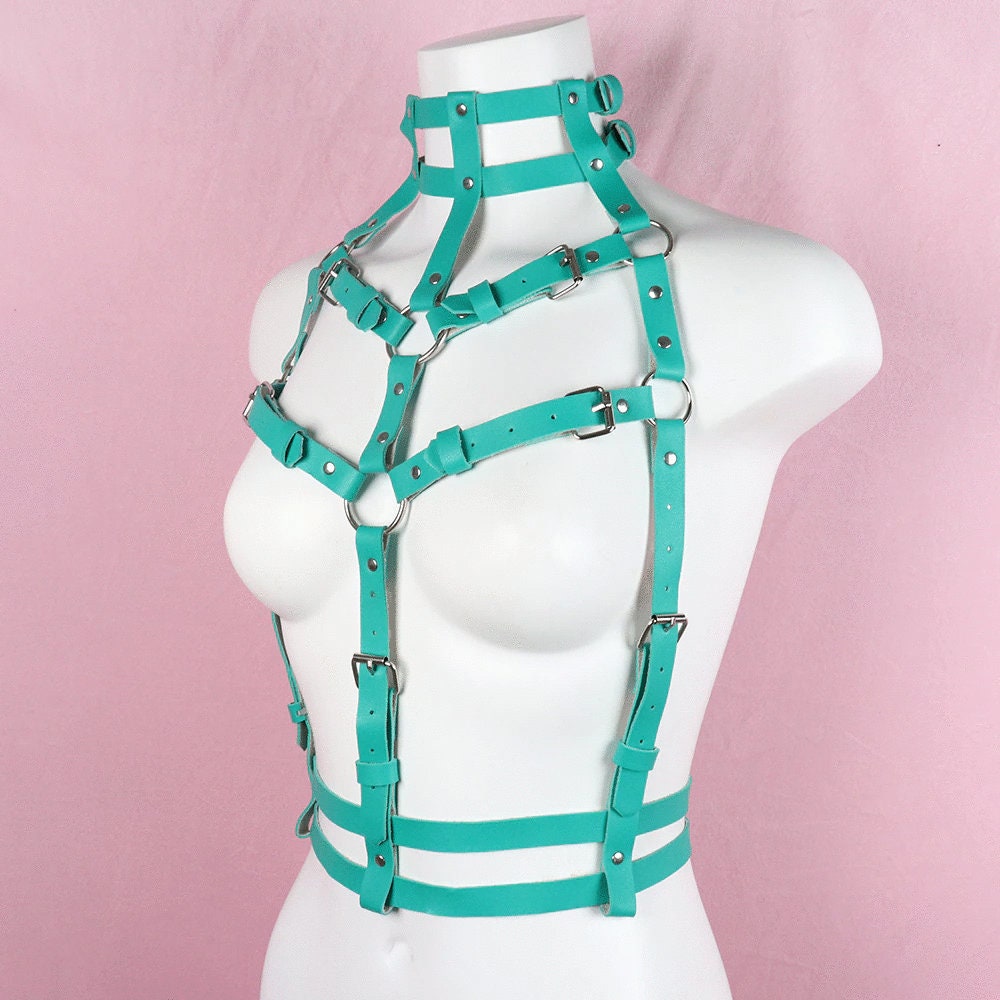 Pink Waist Harness Belt